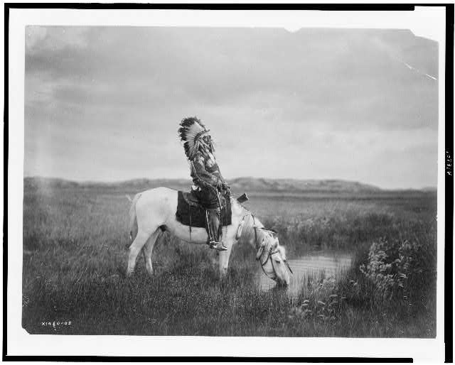 red hawk on horse